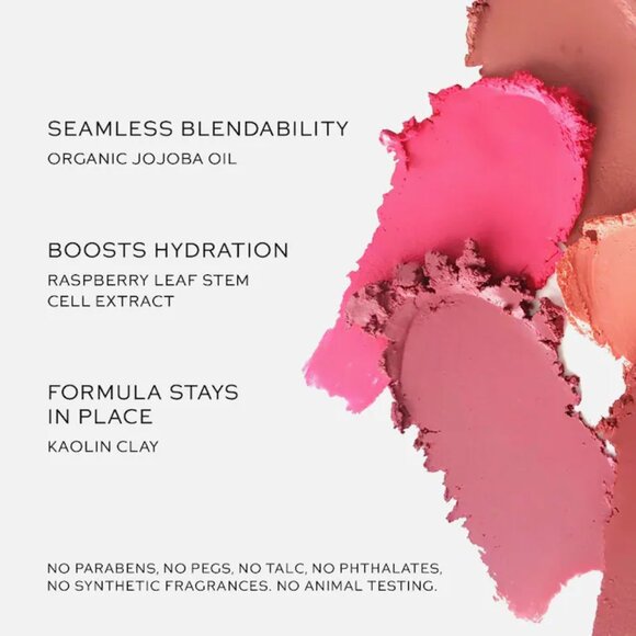 NIB ✅ Westman Atelier #BICHETTE  Baby Cheeks Blush Stick ✨ BNIB - Picture 8 of 12